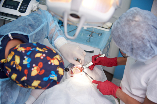 dentist conducting surgery